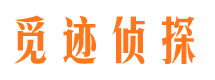 攸县外遇调查取证